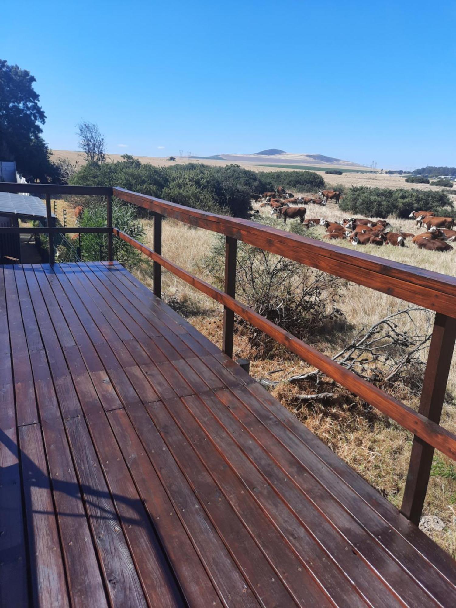 Apartment Fisantjie